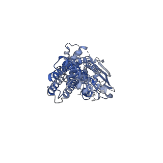 13118_7oz1_B_v1-0
Cryo-EM structure of ABCG1 E242Q mutant with ATP and cholesteryl hemisuccinate bound