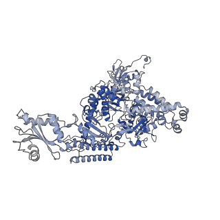 13129_7ozn_A_v1-1
RNA Polymerase II dimer (Class 1)