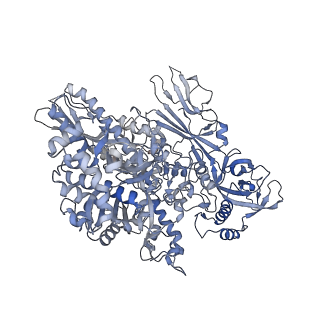 13129_7ozn_B_v1-1
RNA Polymerase II dimer (Class 1)