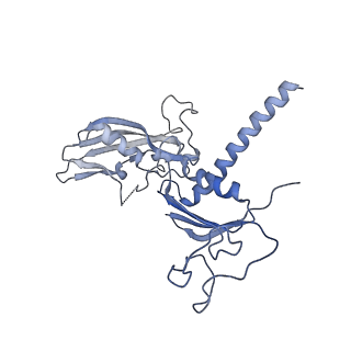 13129_7ozn_C_v1-1
RNA Polymerase II dimer (Class 1)