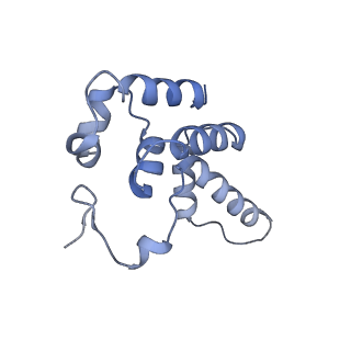 13129_7ozn_D_v1-1
RNA Polymerase II dimer (Class 1)