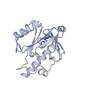 13129_7ozn_E_v1-1
RNA Polymerase II dimer (Class 1)