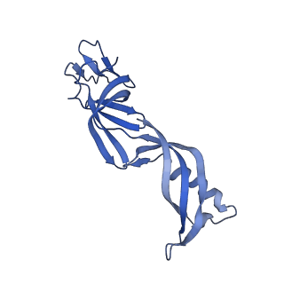 13129_7ozn_G_v1-1
RNA Polymerase II dimer (Class 1)