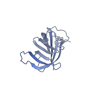 13129_7ozn_H_v1-1
RNA Polymerase II dimer (Class 1)