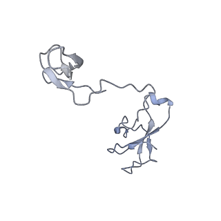 13129_7ozn_I_v1-1
RNA Polymerase II dimer (Class 1)