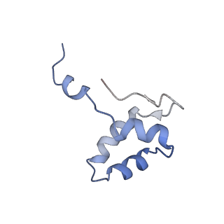 13129_7ozn_J_v1-1
RNA Polymerase II dimer (Class 1)