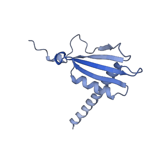 13129_7ozn_K_v1-1
RNA Polymerase II dimer (Class 1)