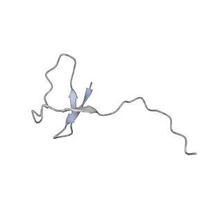 13129_7ozn_L_v1-1
RNA Polymerase II dimer (Class 1)