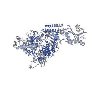 13129_7ozn_M_v1-1
RNA Polymerase II dimer (Class 1)