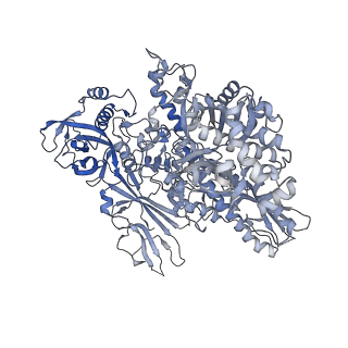 13129_7ozn_N_v1-1
RNA Polymerase II dimer (Class 1)
