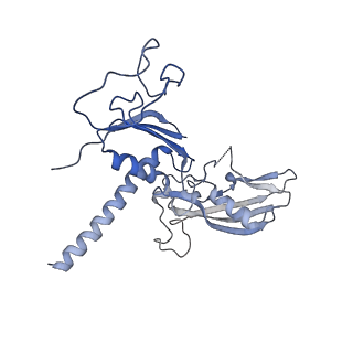13129_7ozn_O_v1-1
RNA Polymerase II dimer (Class 1)
