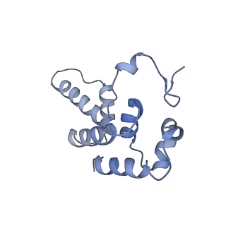 13129_7ozn_P_v1-1
RNA Polymerase II dimer (Class 1)