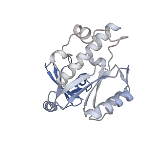 13129_7ozn_Q_v1-1
RNA Polymerase II dimer (Class 1)