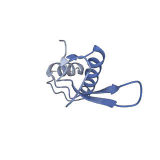 13129_7ozn_R_v1-1
RNA Polymerase II dimer (Class 1)