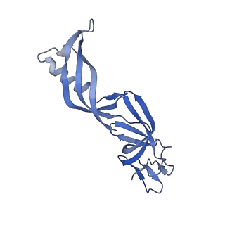 13129_7ozn_S_v1-1
RNA Polymerase II dimer (Class 1)