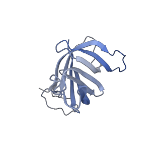 13129_7ozn_T_v1-1
RNA Polymerase II dimer (Class 1)