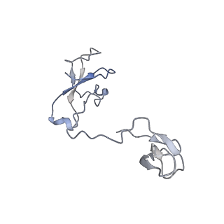 13129_7ozn_U_v1-1
RNA Polymerase II dimer (Class 1)