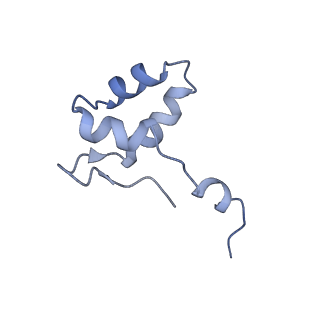 13129_7ozn_V_v1-1
RNA Polymerase II dimer (Class 1)