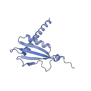 13129_7ozn_W_v1-1
RNA Polymerase II dimer (Class 1)