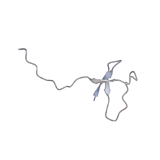 13129_7ozn_X_v1-1
RNA Polymerase II dimer (Class 1)