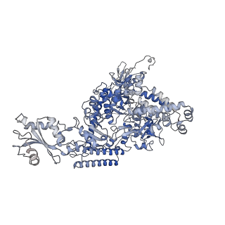 13130_7ozo_A_v1-1
RNA Polymerase II dimer (Class 2)