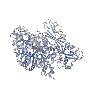 13130_7ozo_B_v1-1
RNA Polymerase II dimer (Class 2)