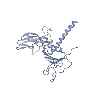 13130_7ozo_C_v1-1
RNA Polymerase II dimer (Class 2)