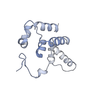 13130_7ozo_D_v1-1
RNA Polymerase II dimer (Class 2)