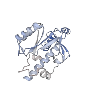 13130_7ozo_E_v1-1
RNA Polymerase II dimer (Class 2)