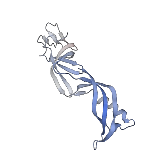 13130_7ozo_G_v1-1
RNA Polymerase II dimer (Class 2)