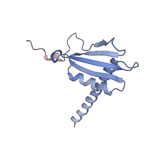 13130_7ozo_K_v1-1
RNA Polymerase II dimer (Class 2)