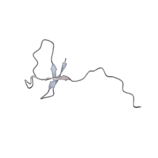 13130_7ozo_L_v1-1
RNA Polymerase II dimer (Class 2)