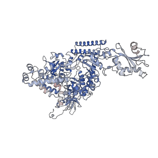 13130_7ozo_M_v1-1
RNA Polymerase II dimer (Class 2)