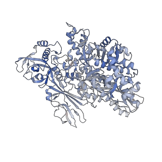 13130_7ozo_N_v1-1
RNA Polymerase II dimer (Class 2)