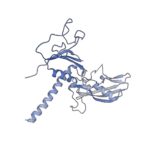 13130_7ozo_O_v1-1
RNA Polymerase II dimer (Class 2)