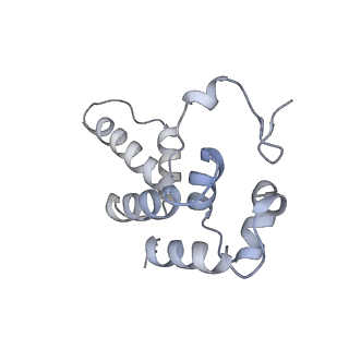 13130_7ozo_P_v1-1
RNA Polymerase II dimer (Class 2)