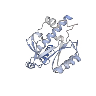 13130_7ozo_Q_v1-1
RNA Polymerase II dimer (Class 2)