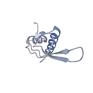13130_7ozo_R_v1-1
RNA Polymerase II dimer (Class 2)