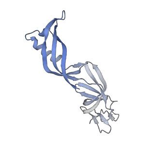 13130_7ozo_S_v1-1
RNA Polymerase II dimer (Class 2)