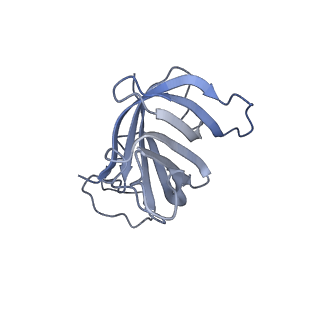 13130_7ozo_T_v1-1
RNA Polymerase II dimer (Class 2)