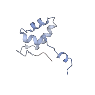 13130_7ozo_V_v1-1
RNA Polymerase II dimer (Class 2)