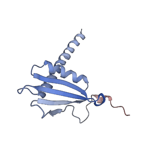 13130_7ozo_W_v1-1
RNA Polymerase II dimer (Class 2)
