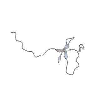 13130_7ozo_X_v1-1
RNA Polymerase II dimer (Class 2)