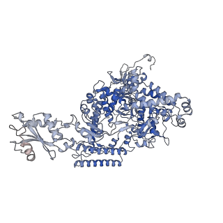 13131_7ozp_A_v1-1
RNA Polymerase II dimer (Class 3)
