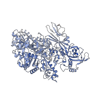 13131_7ozp_B_v1-1
RNA Polymerase II dimer (Class 3)