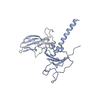 13131_7ozp_C_v1-1
RNA Polymerase II dimer (Class 3)