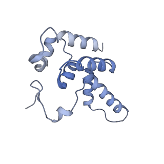 13131_7ozp_D_v1-1
RNA Polymerase II dimer (Class 3)