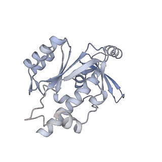 13131_7ozp_E_v1-1
RNA Polymerase II dimer (Class 3)