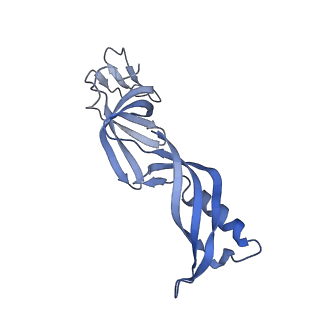 13131_7ozp_G_v1-1
RNA Polymerase II dimer (Class 3)