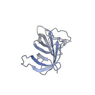 13131_7ozp_H_v1-1
RNA Polymerase II dimer (Class 3)